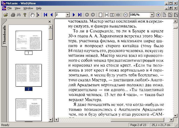 Просмотрщик электронных книг WinDjView